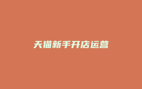天猫新手开店运营