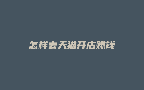 怎样去天猫开店赚钱