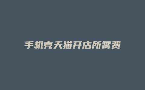 手机壳天猫开店所需费用